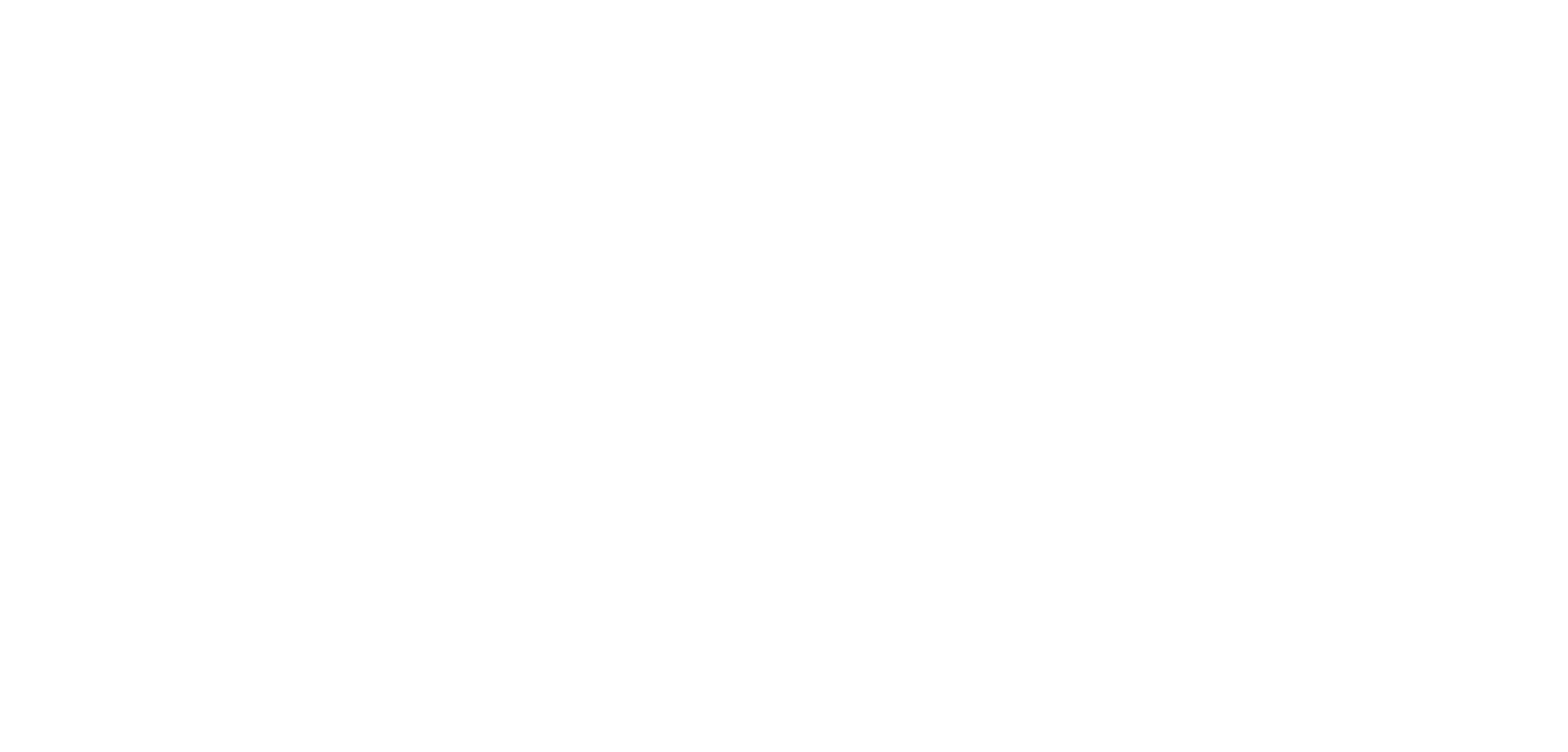 2TS Logo